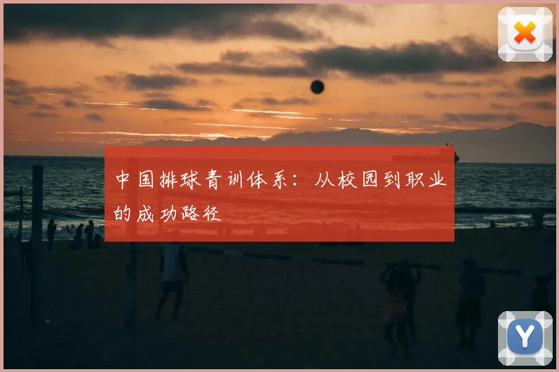 中国排球青训体系:从校园到职业的成功路径