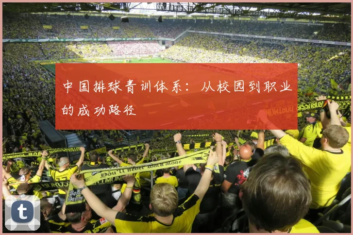 中国排球青训体系:从校园到职业的成功路径