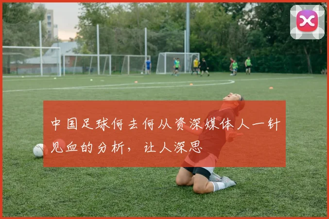 中国足球何去何从资深媒体人一针见血的分析,让人深思