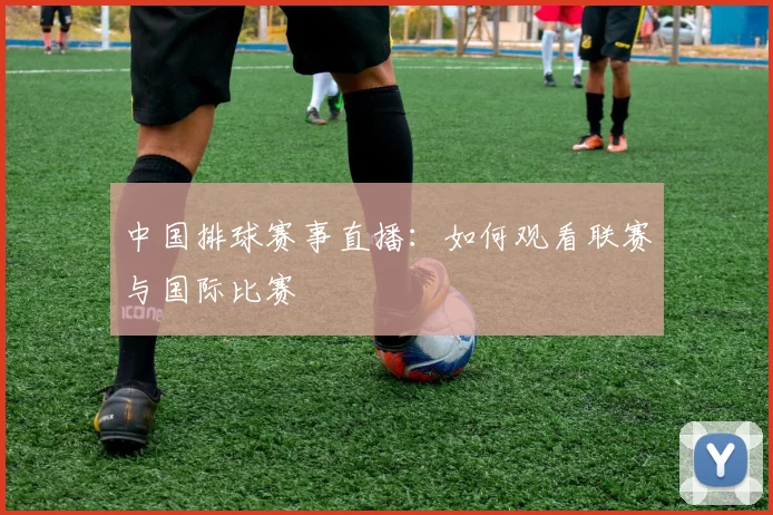 中国排球赛事直播:如何观看联赛与国际比赛