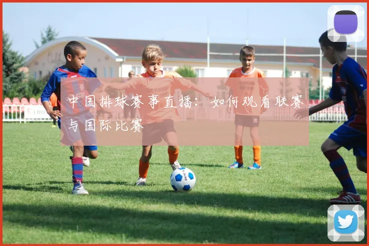 中国排球赛事直播:如何观看联赛与国际比赛